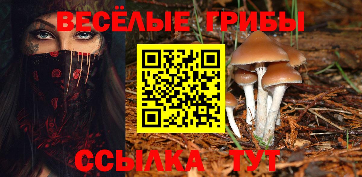 наркошоп  Галлюциногенные грибы Cubensis  Вход с VPN  Губкин 