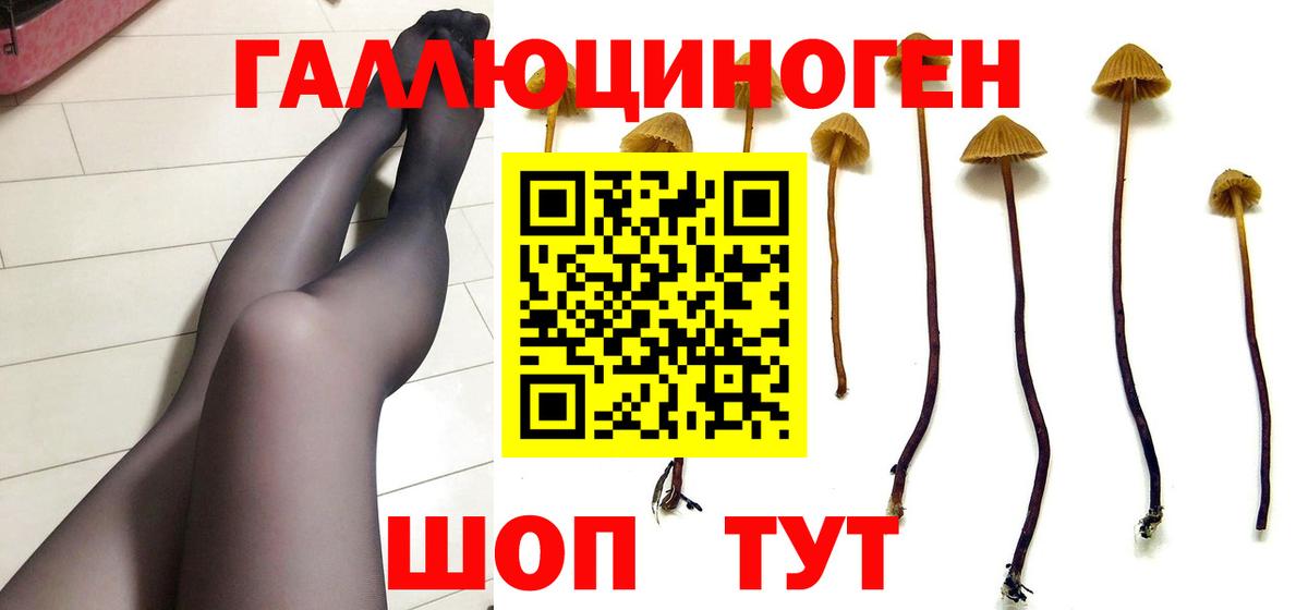 Псилоцибиновые грибы MAGIC MUSHROOMS Губкин
